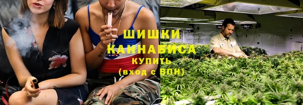 гашик Болохово