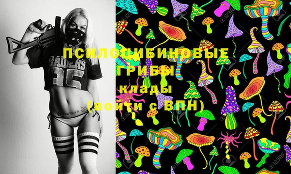 не бодяженный Няндома