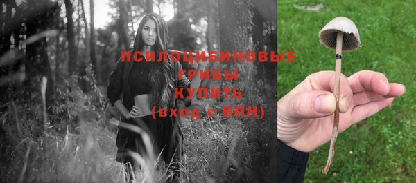 гашиш Болотное