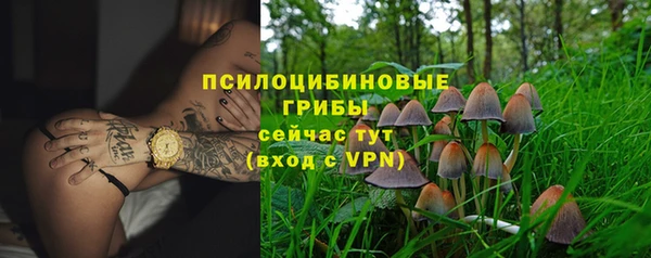 гашик Болохово