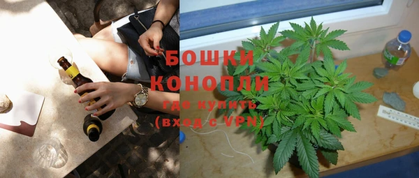 гашик Болохово