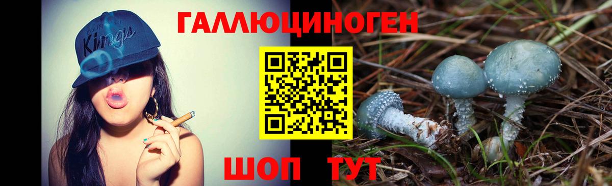 Псилоцибиновые грибы Psilocybine cubensis  Вход с VPN  Южно-Сахалинск  Псилоцибиновые грибы Cubensis 